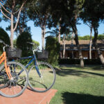 foto Fahrradverleih per Tenuta Livia