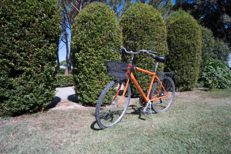 vacanze-sportive-maremma vacanze sportive maremma